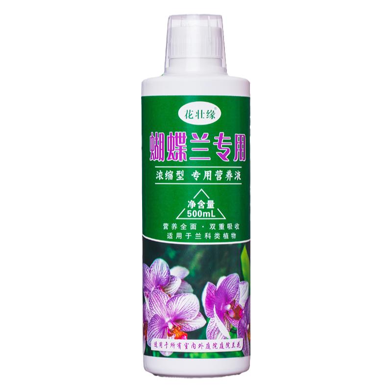 蝴蝶兰营养液促进开花治黄叶