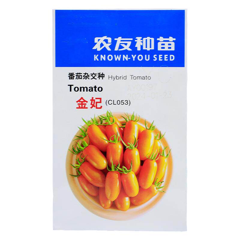 台湾农友金妃小番茄种子耐寒樱桃迷你西红柿种籽四季圣女果孑