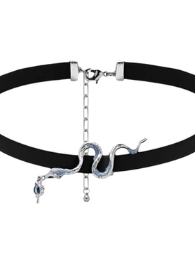 恶魔之眼灵蛇项圈原创小众设计气质百搭高级感轻奢复古甜酷风女