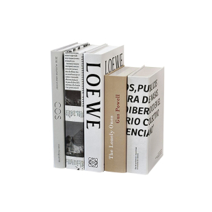 北欧简约ins假书仿真书装饰品摆件书柜书房样板房书本桌面装饰书