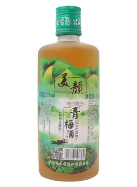 广东河源特产过江龙450ML青梅酒