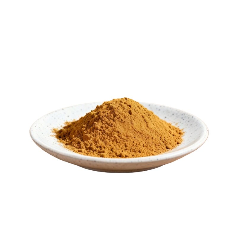 番茄粉500g商用袋装烘焙酸汤肥牛