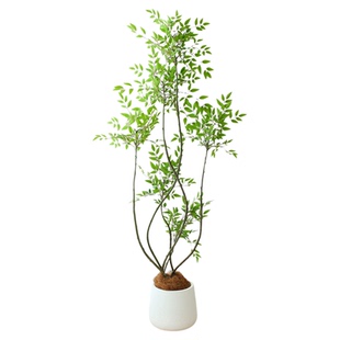 仿真绿植南天竹客厅假花室内仿生植物高级装饰大摆件花假盆栽树