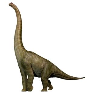 本心楠改侏罗纪走姿站腕龙国货之光恐龙成人孩子模型玩具热卖现货