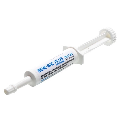 美国BENE-BAC帮你壮益生菌营养膏龙猫兔子豚鼠猫软便调理15g2611