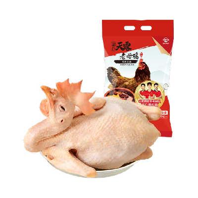 散养农村老母鸡温氏滋补