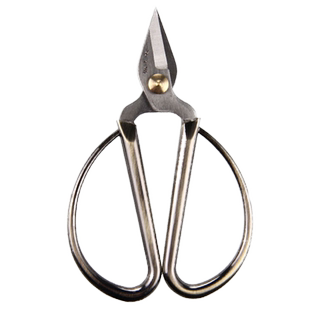 张小泉不锈钢合金指甲剪修甲剪刀脚趾强力甲沟夹沟剪子官网ns-7