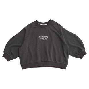 男童卫衣春秋装休闲宽松套头衫2026新款中小男孩卡通鳄鱼上衣帅气