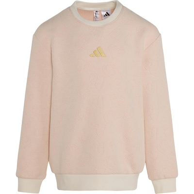 Adidas/阿迪达斯正品2025冬季款儿童日常针织运动圆领卫衣KV4478