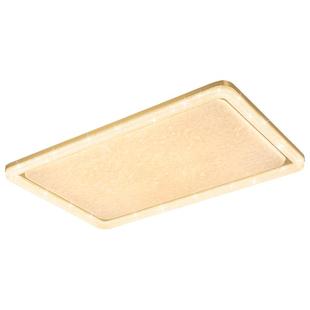 雷士照明吸顶灯客厅主灯2025新款美式中古风灯具大气轻奢灯饰揽月