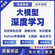 python大模型深度学习/神经网络/算法优化/损失函数/代编程代做