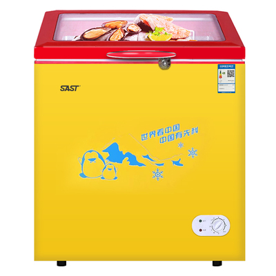 先科商用雪糕柜冰柜大容量展示柜