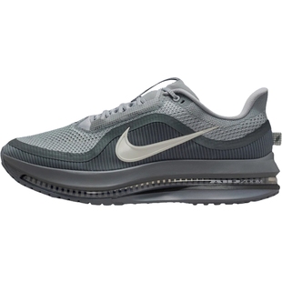 nike耐克男子PEGASUS PREMIUM飞马气垫运动跑步鞋锐力HQ2592-013