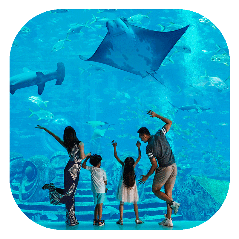 三亚理文索菲特度假酒店+水族馆+儿童俱乐部
