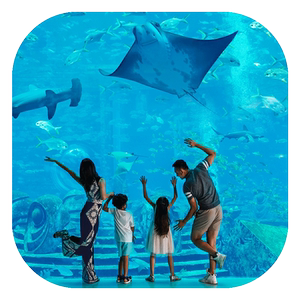三亚理文索菲特度假酒店+水族馆+儿童俱乐部