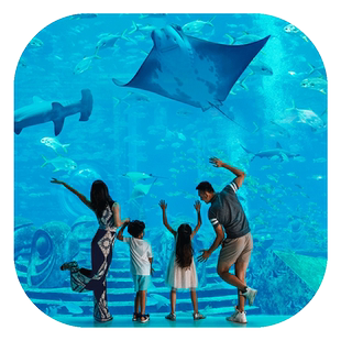 三亚亚特兰蒂斯+索菲特康年壹酒店海棠湾海景房4天3晚双园套餐