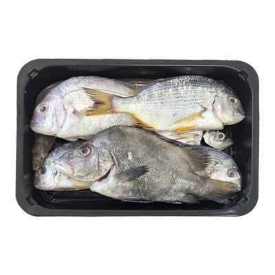 【野生海捕】新鲜海杂鱼批发深海鱼冷冻整箱黄立鱼巴浪鱼海鳗鱼