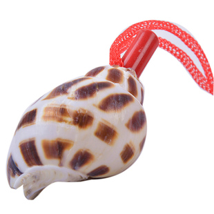 黑棕花斑贝壳哨子大号中小奇特发声天然海螺幼教认知表演儿童玩具