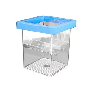 鱼缸孵化器小鱼小型鱼苗漂浮隔离盒母鱼孵化盒悬浮式孔雀鱼繁殖盒