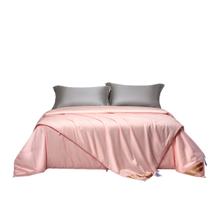 邵氏 2+4斤A类结婚喜被蚕丝被100桑蚕丝子母被二合一 7A级春双宫