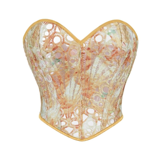 欧美复古水溶刺绣塑身衣宫廷风晕染蕾丝女胸衣性感透视抹胸corset