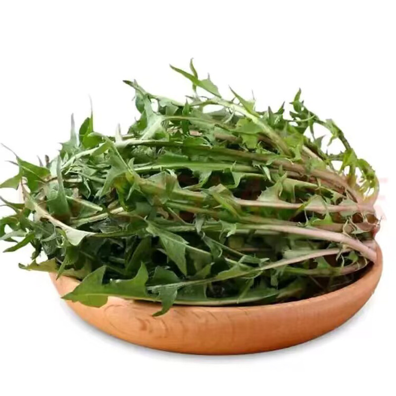 蒲公英新鲜山东野菜纯野菜婆婆丁现挖现发整颗蘸酱菜带箱5斤包邮
