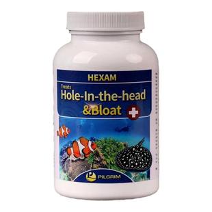 正品英国大白片水族观赏鱼龙鱼罗汉鱼内寄头洞肠炎外寄白点病鱼药