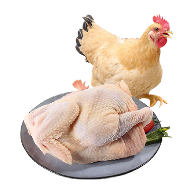 线下同款天农清远100天散养土鸡