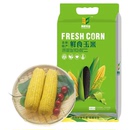 【禹稷芳华】黑/黄糯玉米