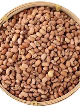 山西农家自种粉豇豆当季新豇豆