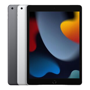 Apple/苹果 10.2 英寸 iPad (第九代) 无线局域网 + 蜂窝网络机型