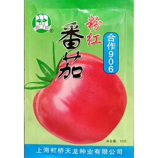 合作906粉红番茄种子大果粉皮西红柿杂交种籽自封顶有限生长10克