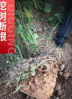 挖土球神器汽油镐家用便携四冲程挖树起树机挖竹子挖土挖沟机现货