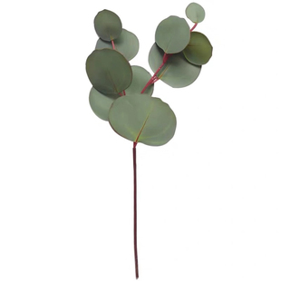 ins北欧简约风仿真尤加利叶圆叶 清新绿植摆件 花瓶家居民宿装饰