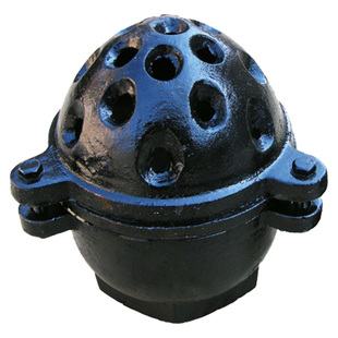 抽水泵底阀止回阀莲蓬头内螺纹井底阀吸水底阀DN40 50 65 80 100