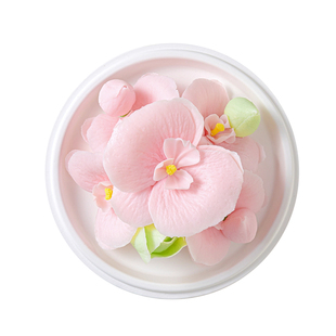 【情人节】非遗瓷花系列 | 蝴蝶兰扩香精油组合东方花香调 送女友