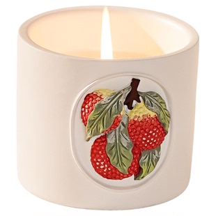 THISISFORU荔枝香薰蜡烛家用室内香氛礼盒高级小众持久扩香伴手礼