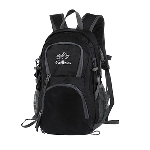 户外踏青出游行山登山徒步一日游短途出行双肩背包小型带胸扣护腰