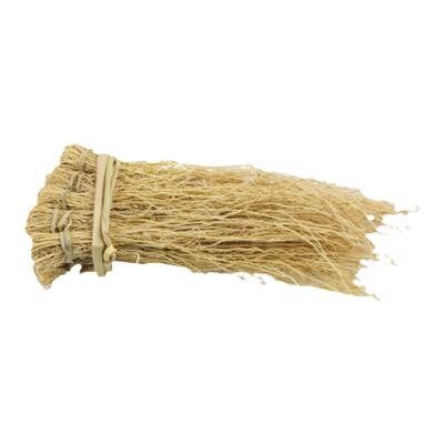 正宗广东养肝草龙须草
