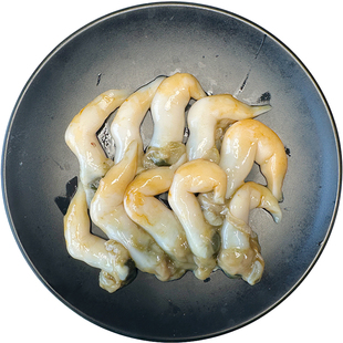 鸟贝肉鲜活现剥当天新鲜超大黄鸟贝冰鲜去壳鸟蛤海鲜白玉贝类500g