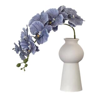 高级感纹理蝴蝶兰仿真花单枝假花摆设客厅餐桌样板间装饰花卉插花