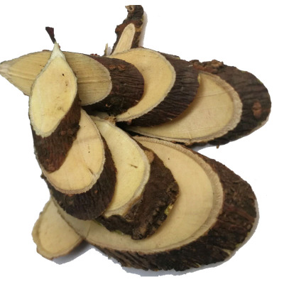 了哥王中药材了歌王切片广西野生