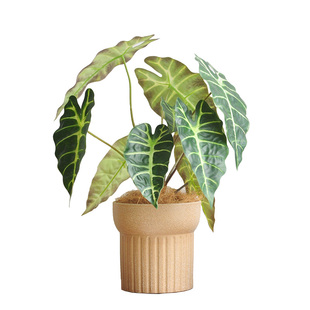 九思仿真假绿植室内家居办公桌面盆栽仿生植物装饰摆件art476