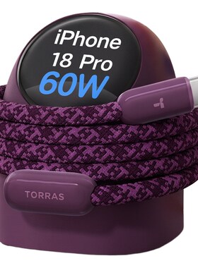 18Pro官配60W]AVS屏显大眼仔护机