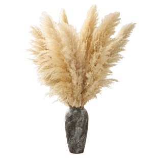 芦苇草干花花束客厅摆设橱窗蒲苇仿真花摆件落地插花天然风干真花