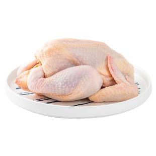 新鲜农家土鸡三黄鸡冷冻现杀童子鸡笨鸡整只包邮白条鸡生鸡肉草鸡