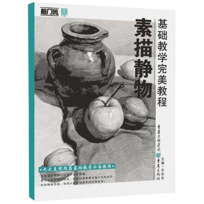 基础教学完美素描静物敲门砖