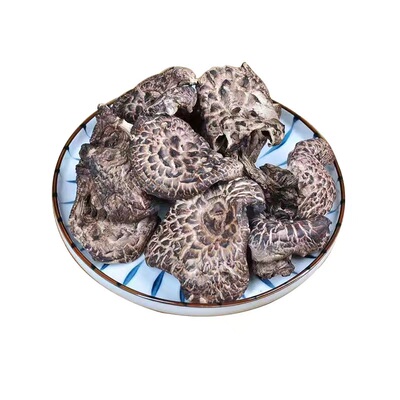 云南野生黑虎掌菌500g当季新货