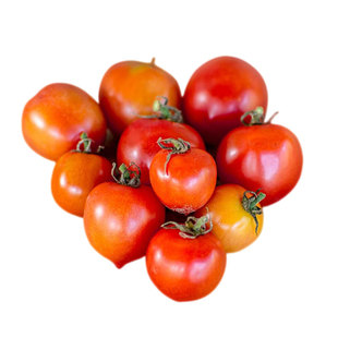 天竺葵之吻矮生樱桃番茄种子浓郁高产多汁传家宝春秋阳台盆栽种菜