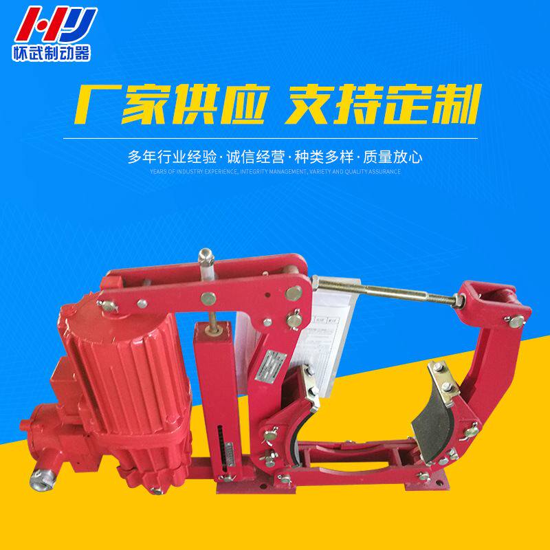 厂家供应BYWZ5-315/80防爆液压制动器/直流电磁制动器供应商